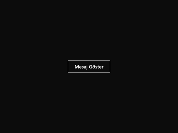 Windows 8 Programlama Metro Style